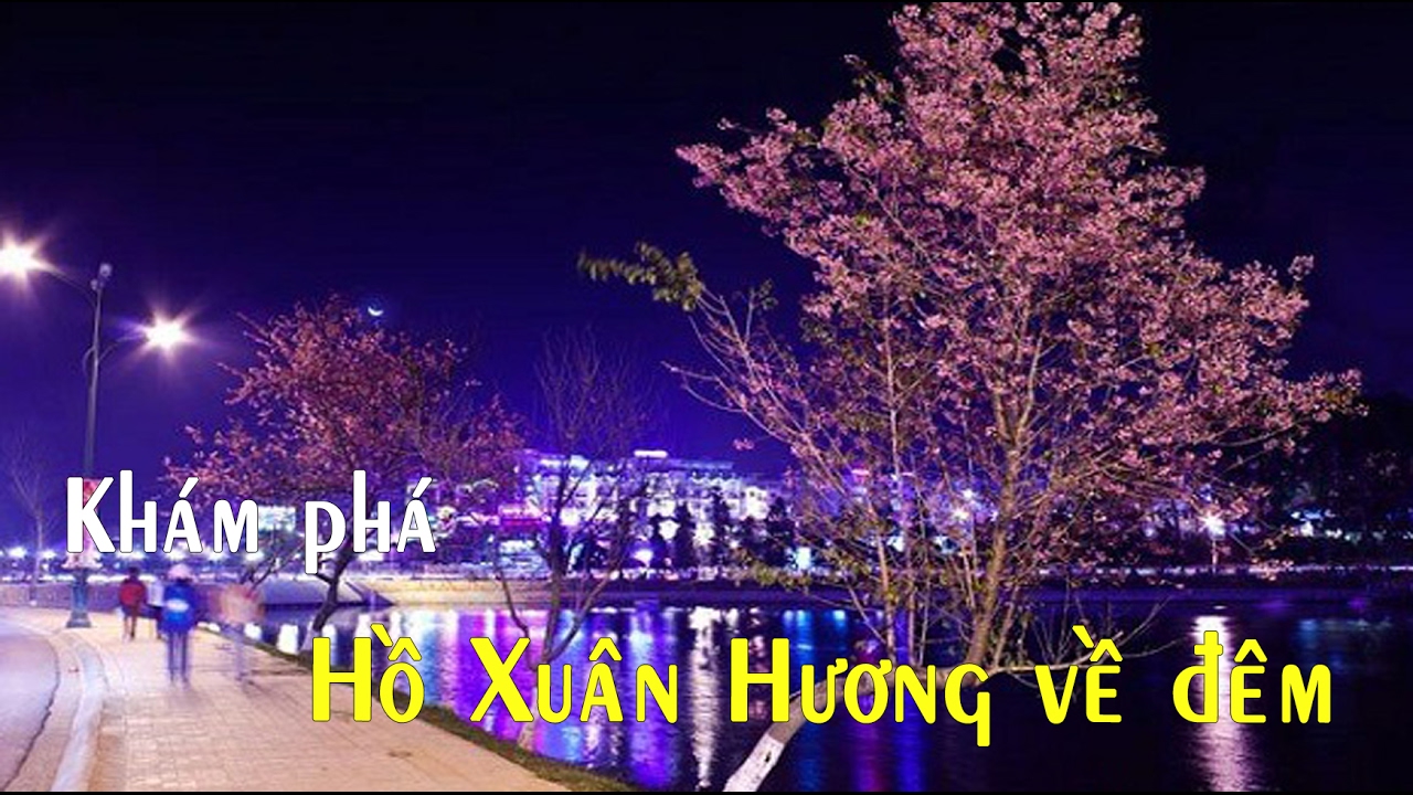 Hồ Xuân Hương về đêm.